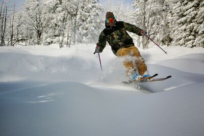 Booterboy, Jibbelicious und Timberjack so die vielversprechenden Namen der drei Skimodelle von mushroom productions. Der Kern des Skis, die Skiseitenwangen und das Dekor bestehen aus hochwertigen Hölzern der Region. (Foto: mushroom productions)