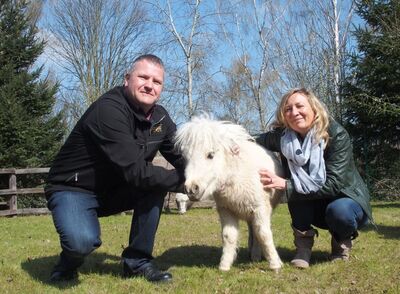 Chefin des Vereins Zoo der Minis e.V. Bärbel Schroller und Lautergold Betriebsleiter Mike Schneising mit dem Lautergold - Patenpony „Trudi“ (Foto: Lautergold Paul Schubert GmbH)