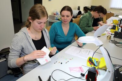 Technikolympiade von Turck, Foto: Katja Lippmann-Wagner/Turck Beierfeld